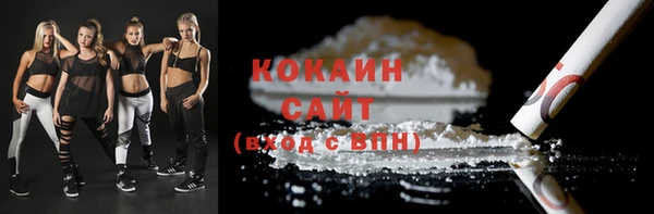 ECSTASY Богданович